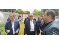 بازدید دکتر سروش