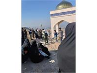 اردوی بازی دراز